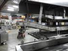 Convenience Food Systems Fryer